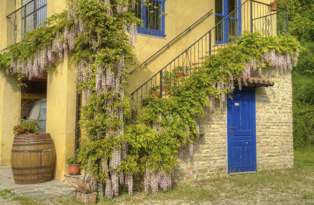 Sinio B&B Il Sole Delle Rive מראה חיצוני תמונה